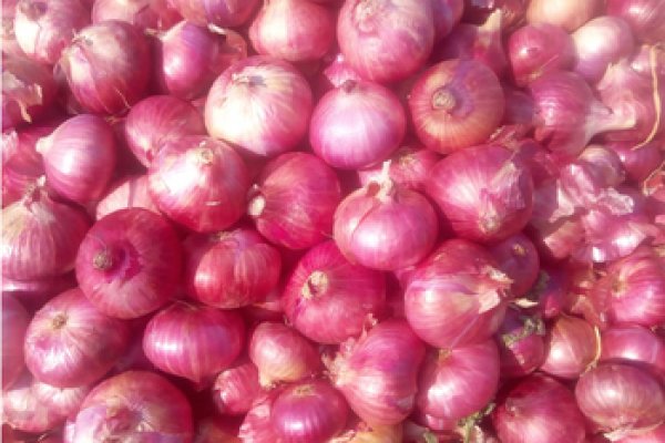 Onion гидра сайт hydra ssylka onion com